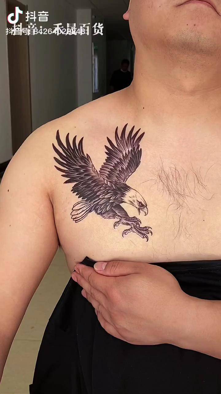 纹身鹰的含义图片