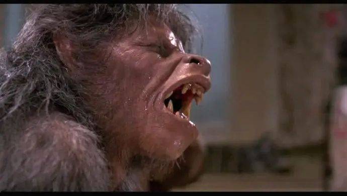 德州深夜发现"谜样人形生物" ,网友:传说中的皮行者