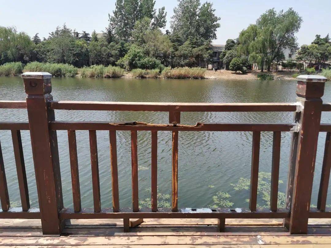 亲水平台损毁监控瘫痪墙皮脱落徐州这个小区问题真不少