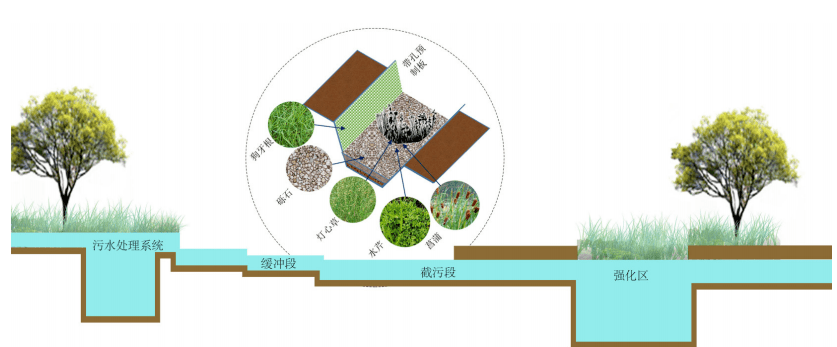 城乡规划丨协同论视角下的城郊型美丽乡村营建研究_建设_城市_系统
