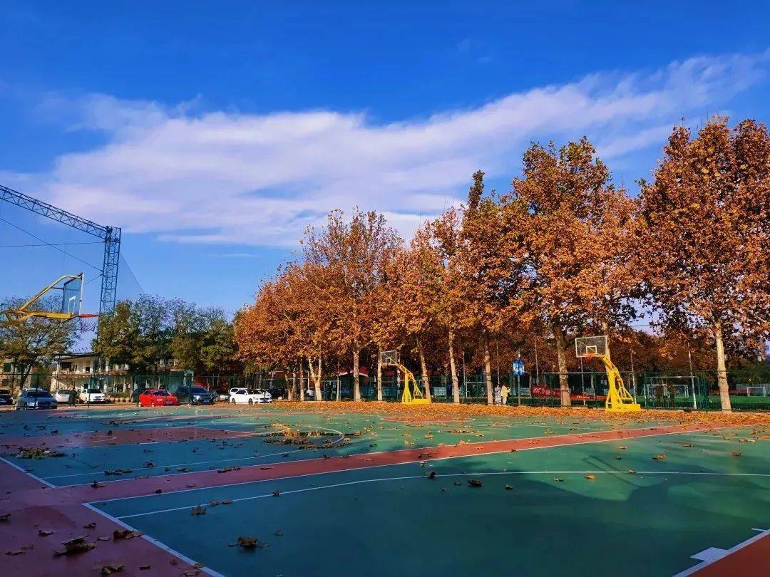 遇见幸运,相约河体——我们在河北体育学院等你_风景_校园_一草一木