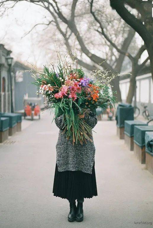 镜头背后花的背后投稿作品