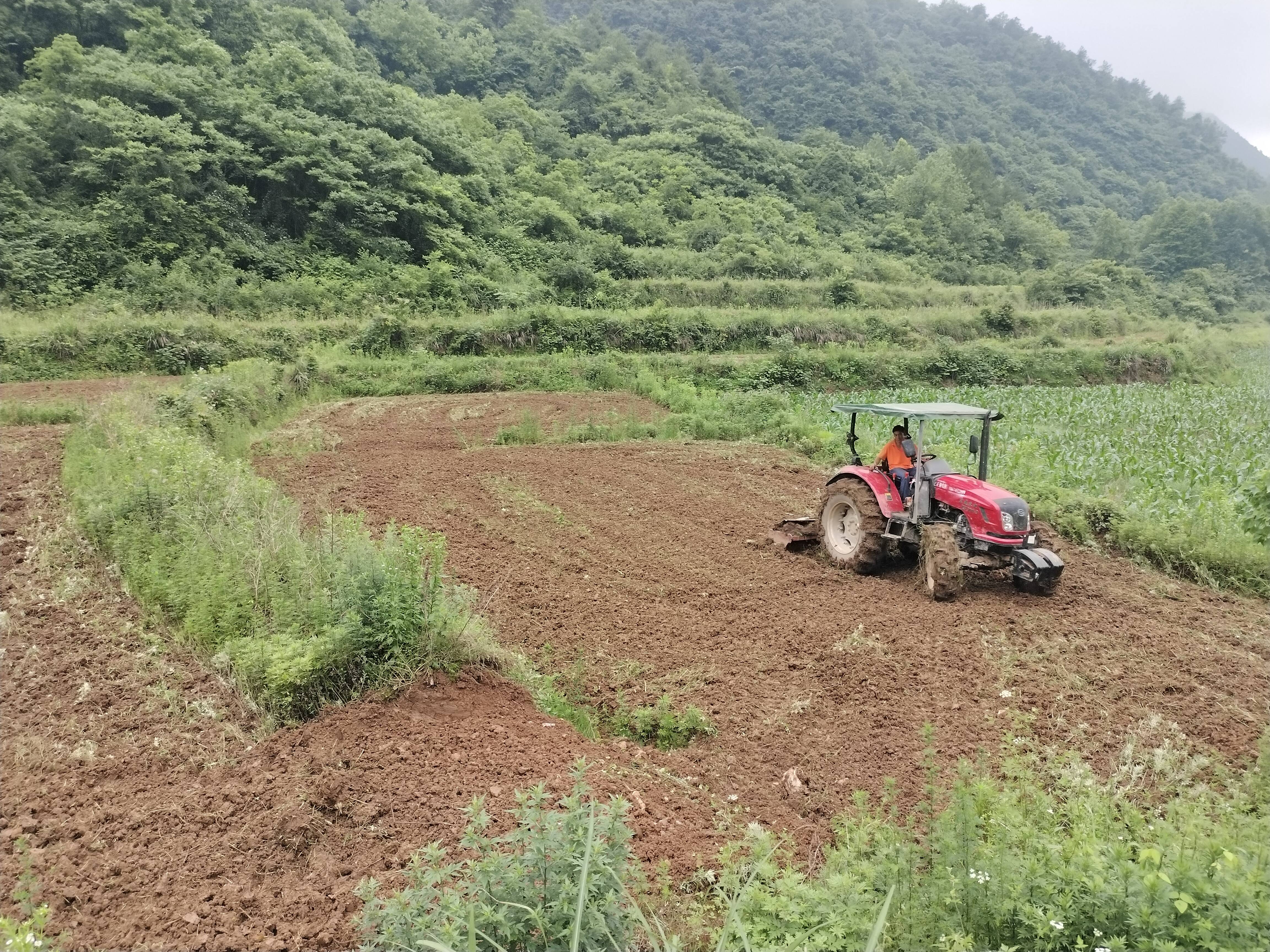 岑巩县天马镇三字诀抓实土地撂荒