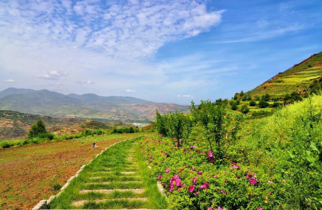 武山最美鄉村旅遊打卡地漫畫中的馬年