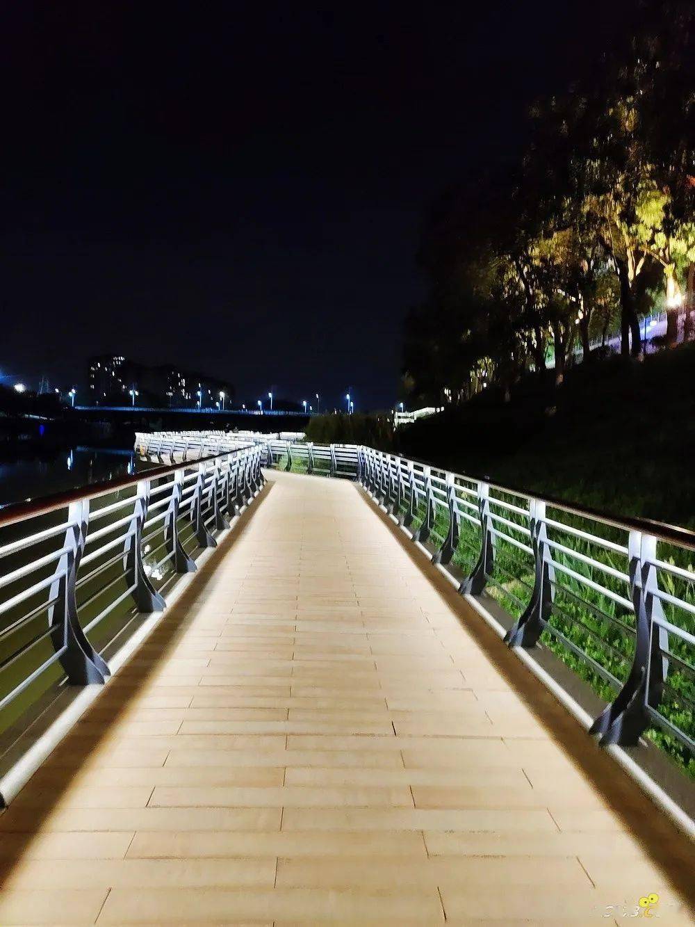 太美了增城网红夜景刷爆抖音