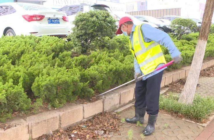 海阳市龙山街道西沽头村插秧正当时