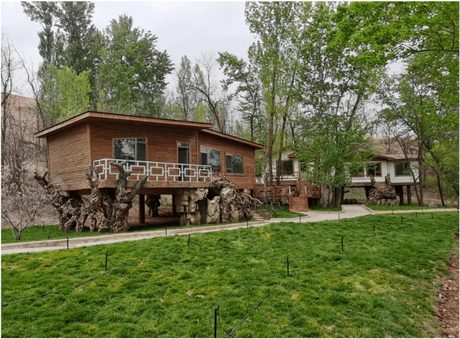 准格尔旗龙口镇因地制宜推动乡村振兴