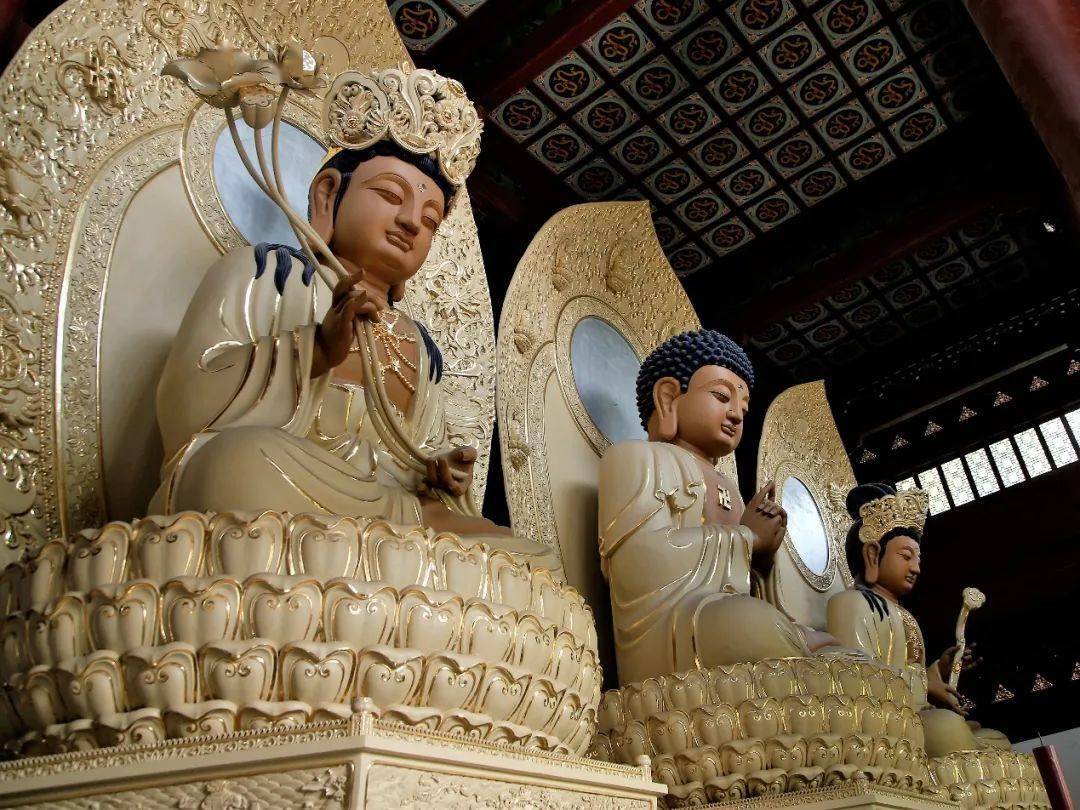 圆顿_灵隐寺_研究