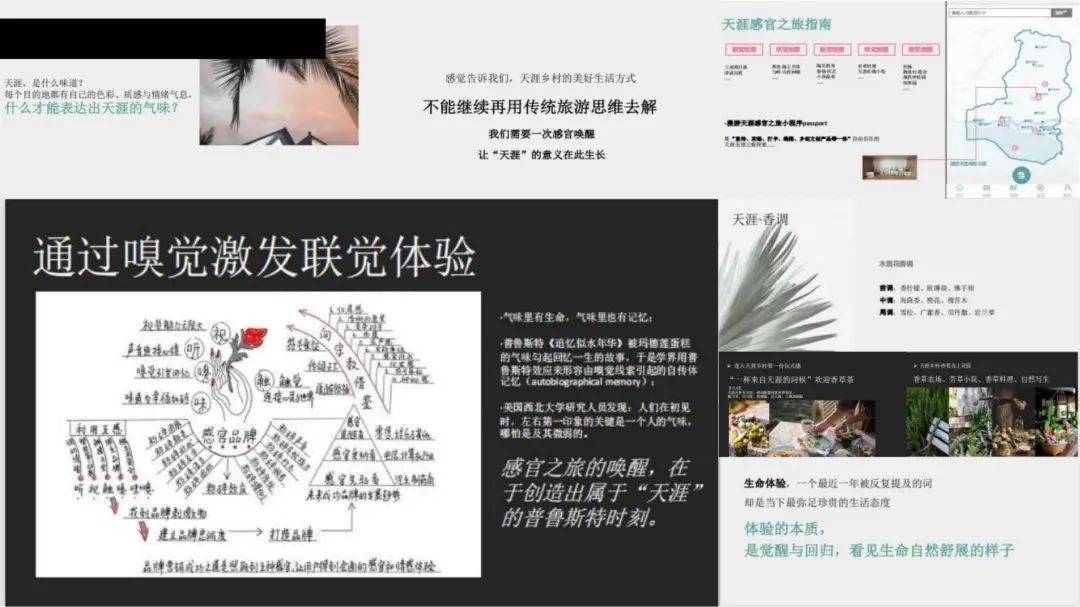 文章配图-20