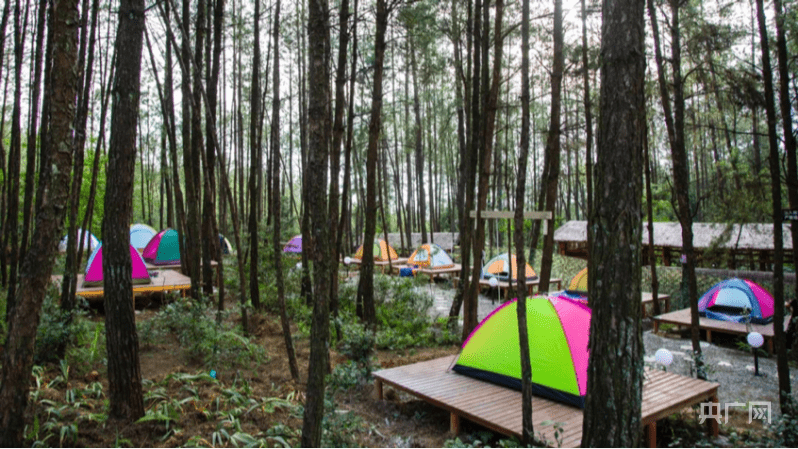 忠县森林露营节将于6月17日开幕
