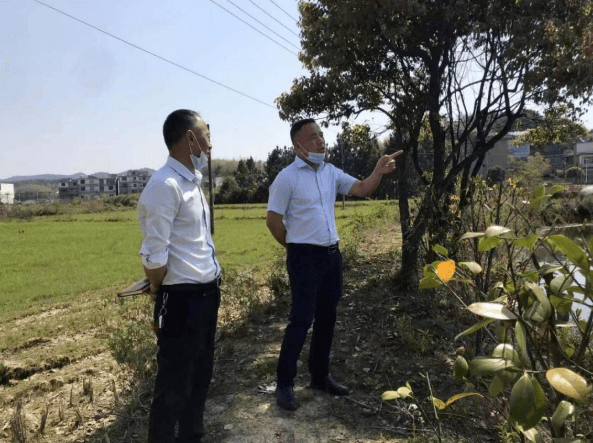 杨梓镇乡村振兴幸福密钥点燃市域社会治理红色引擎