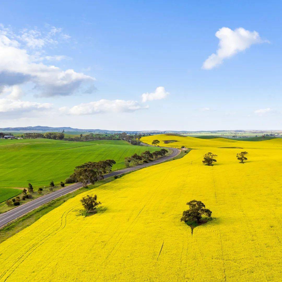 我在澳大利亚,收集人间色彩_tourism_western_great