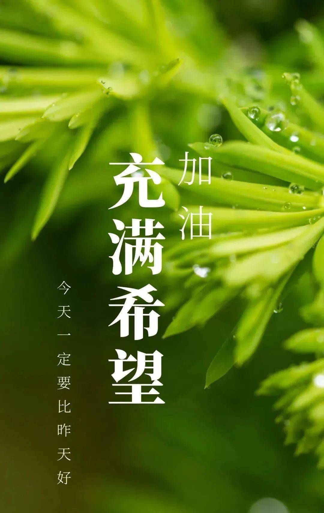 早安正能量励志心语向上的路并不拥挤因为大部分人选择了安逸