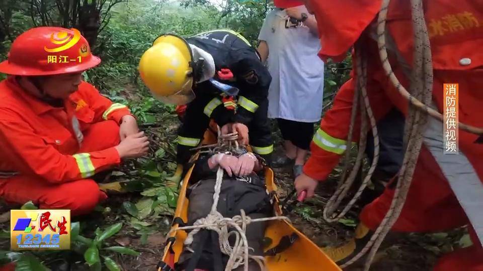 阳春:胡蜂蛰人至休克 消防医生急救援_潭水镇_上山_蜜蜂