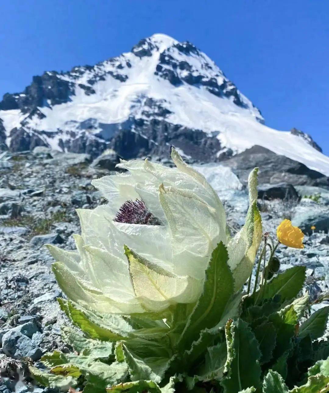 关注这个地方火了