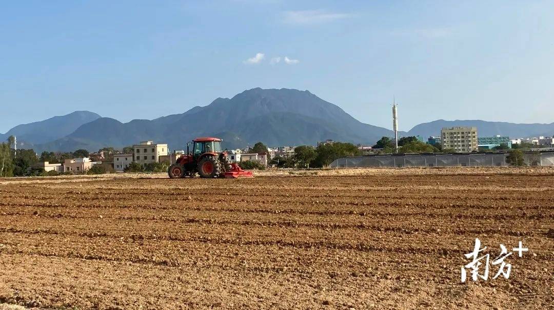 深圳首次实践占用耕地耕作层剥离再利用项目位于大鹏南澳