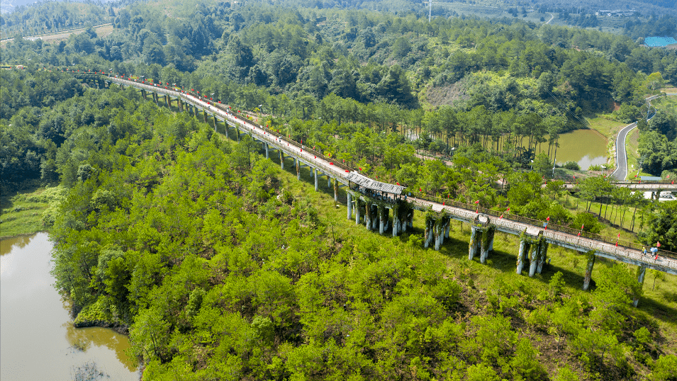 千鹭湖由此得名,名不虚传!_武平千_湿地_生态