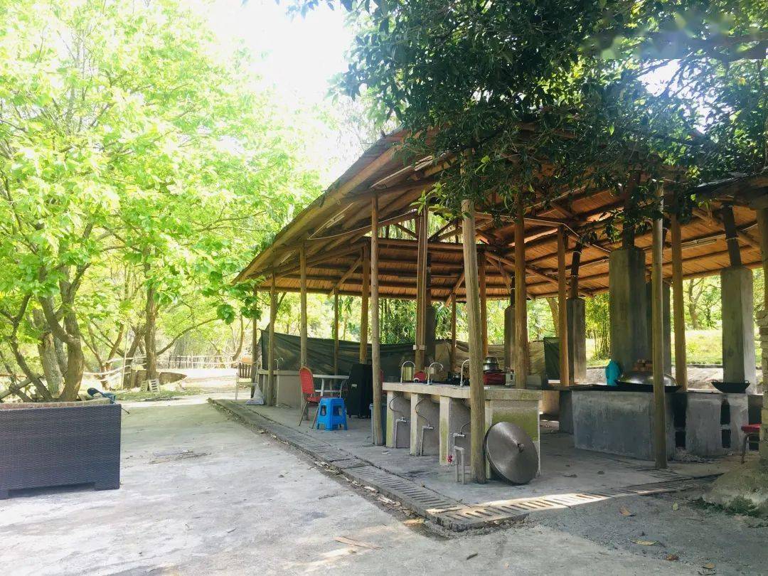民宿上新清远隐世山居古村落桃花源式情怀民宿重温小时候的老宅时光