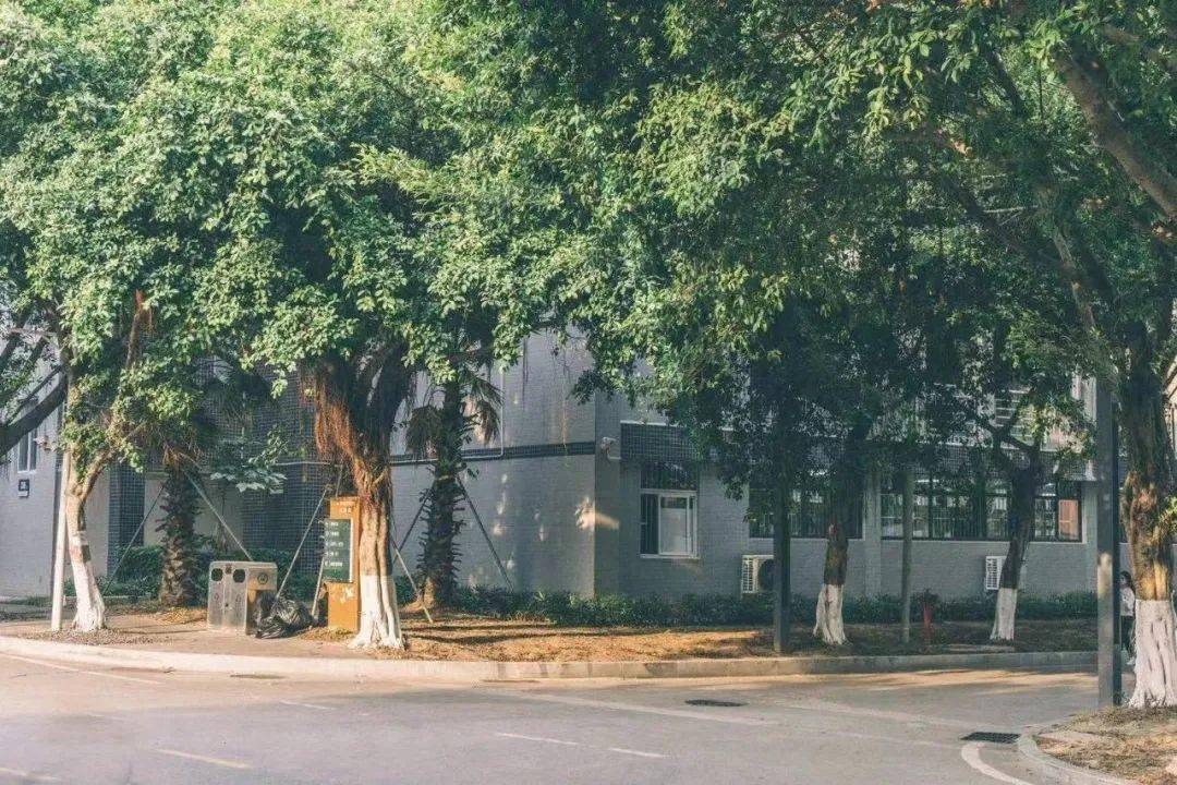 pick北理珠的13657种理由_京涛_海纳_姚温婷