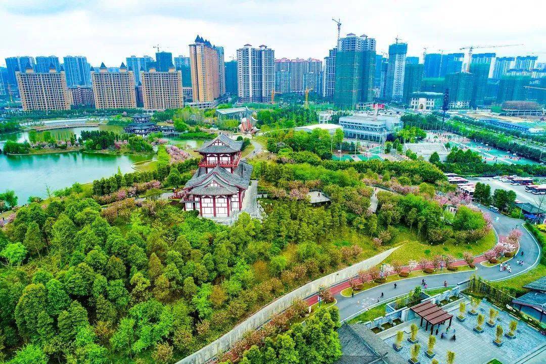 年轻的区古老的城青白江超乎你想象