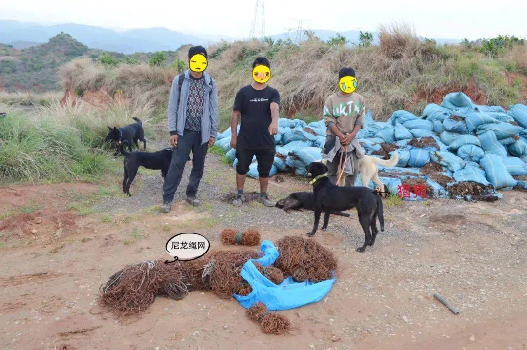 在云南的山上让狗撵杀麂子4人被民警抓获