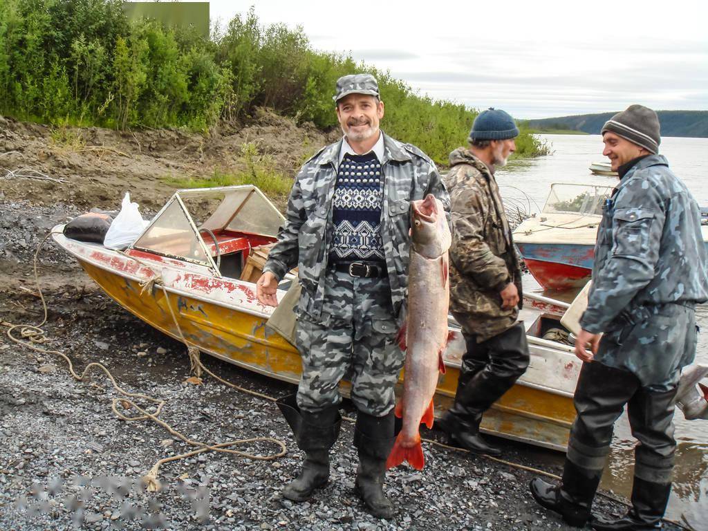俄罗斯倔强的渔业复兴计划