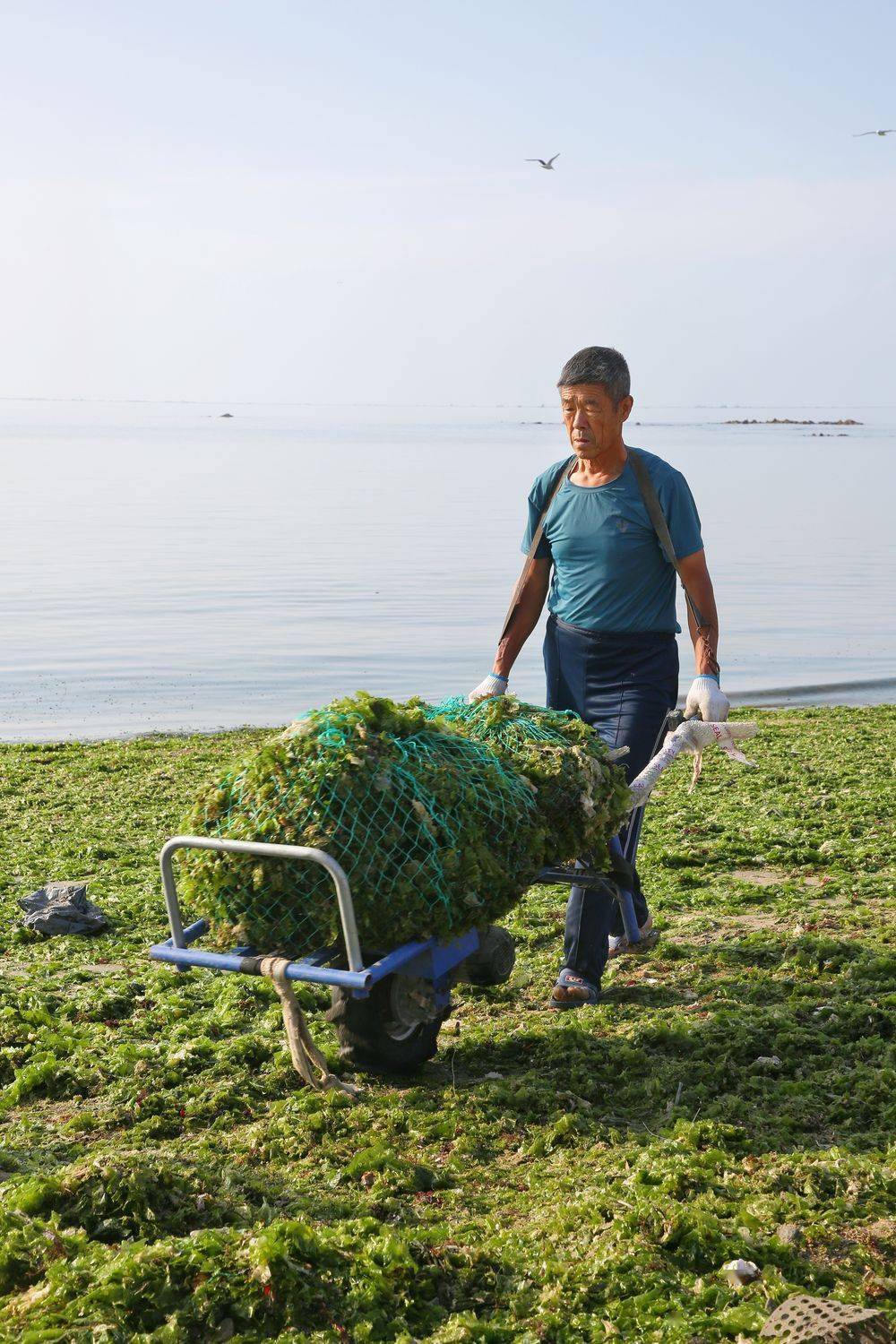 新华社发(李明发摄)