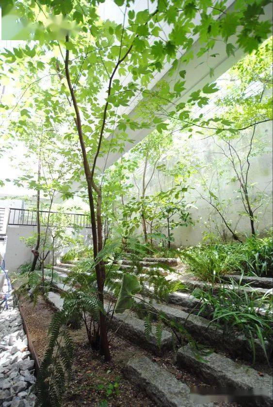 日本顶级杂木庭院500款