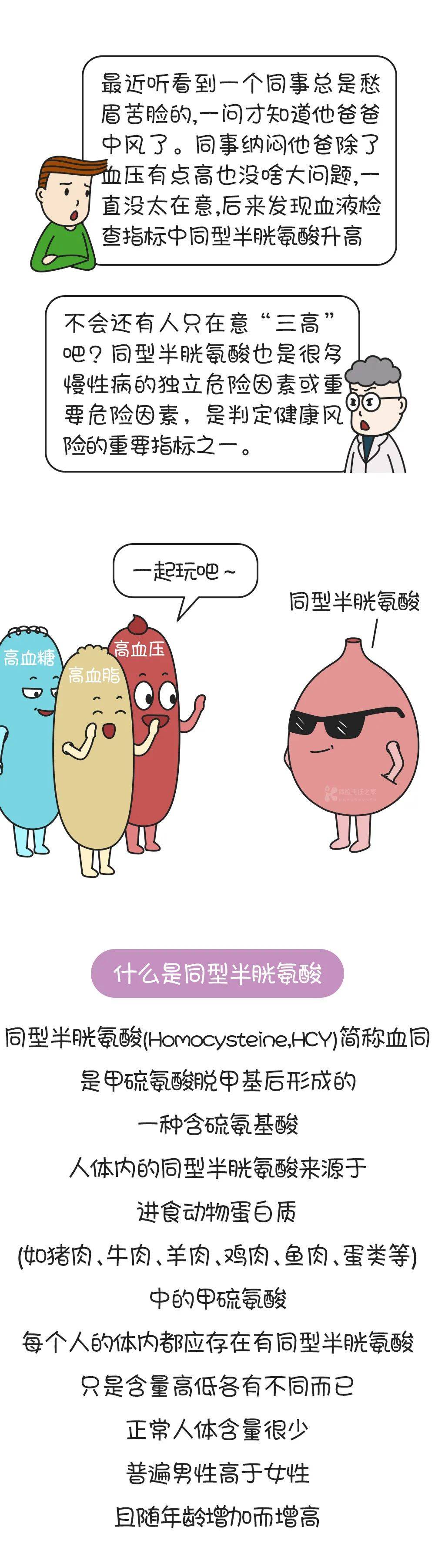 漫画细数同型半胱氨酸升高九宗罪体检时不能忘了它