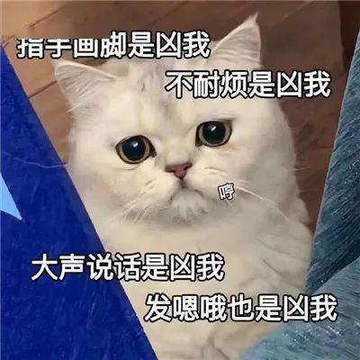 可愛搞笑表情包i下次見面可以這樣嗎