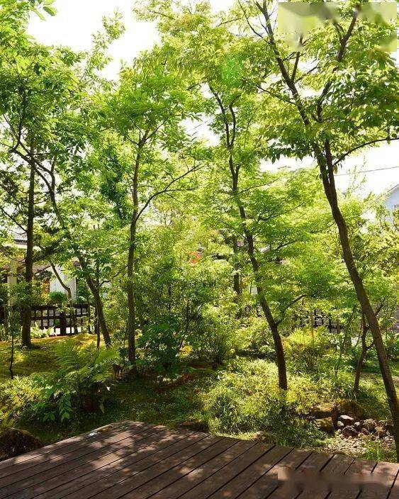 日本顶级杂木庭院500款