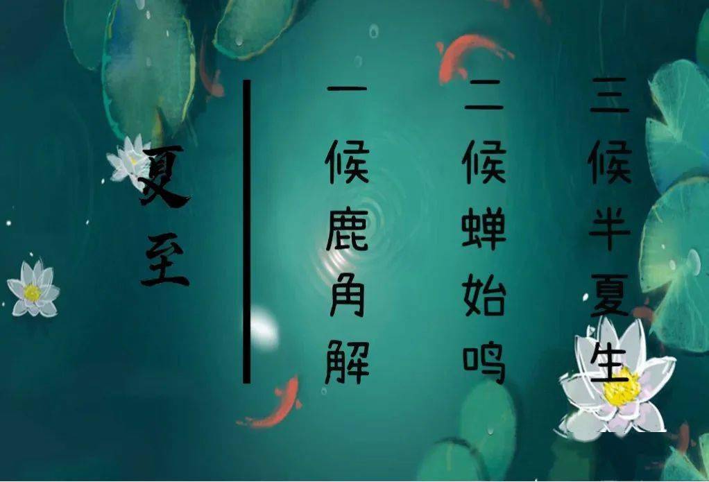 一候:鹿角解鹿的角朝前生,所以属阳,并且认为夏至日阴气生而阳气始衰