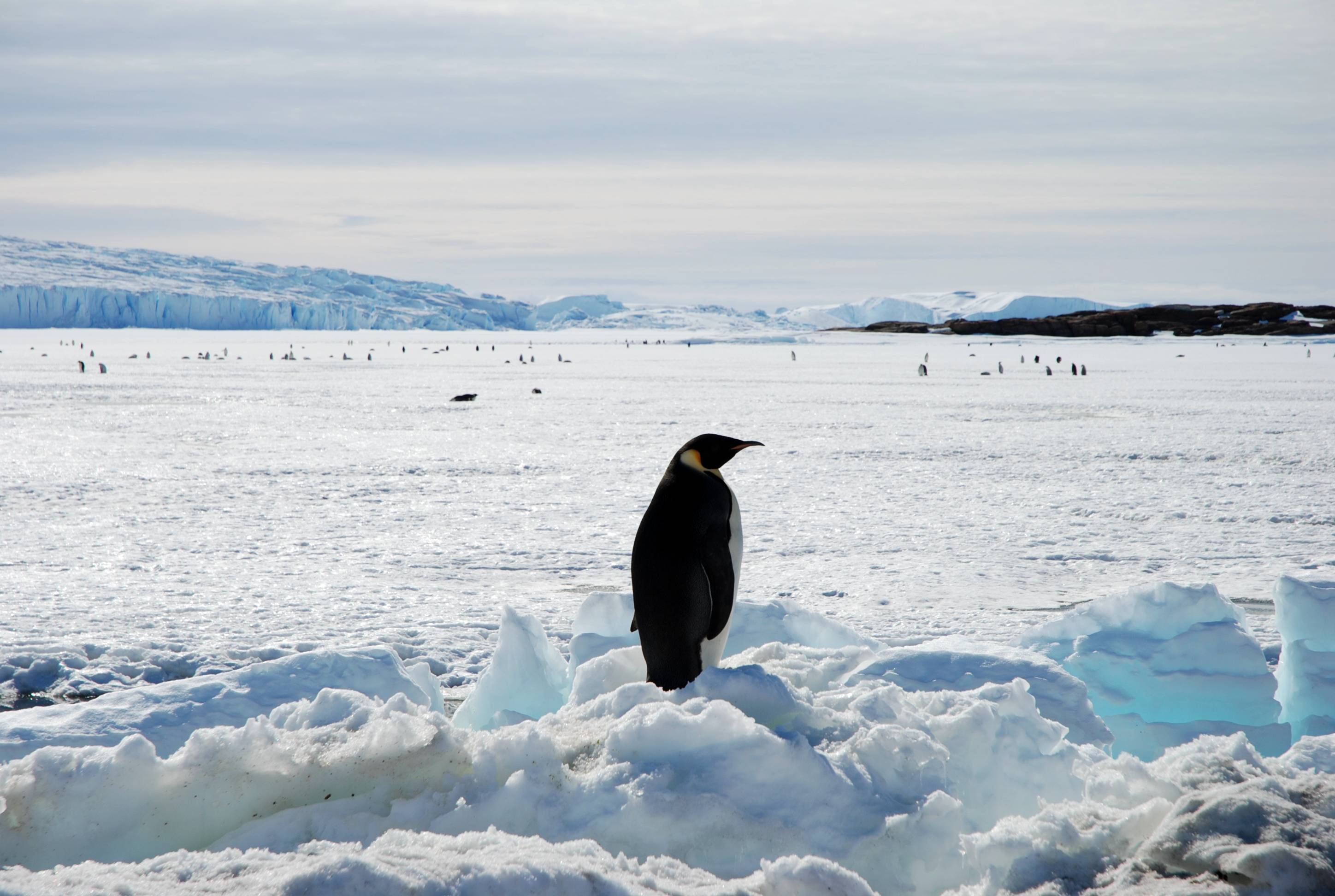 广袤的冰雪家园神奇的南极"极昼月色"偏居在地球最南端的南极洲,由于