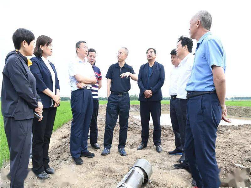 松辽委马铁民一行到勤得利检查调研地表水替换地下水及封井工作
