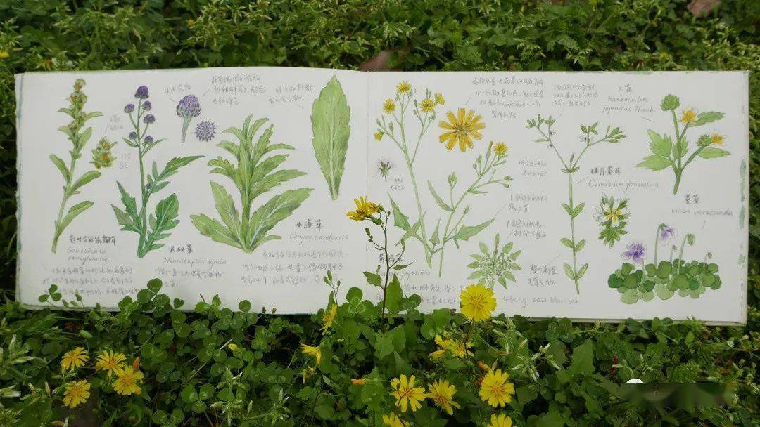 学习之后,无论是手帐,海报,插图,装饰,大画小画,都可以灵活发挥,开拓