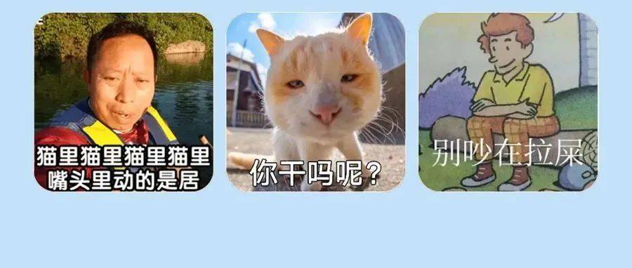表情包 | 干啥啥不行 存沙雕表情包第一名_生活_花会_治愈