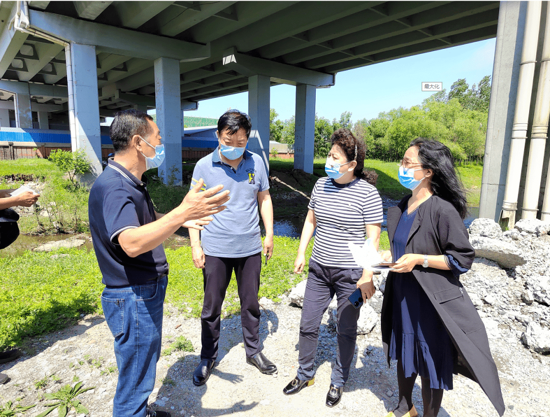 6月22日,区委常委,常务副区长,区河湖段长刘蕊深入马家沟健康段,河流