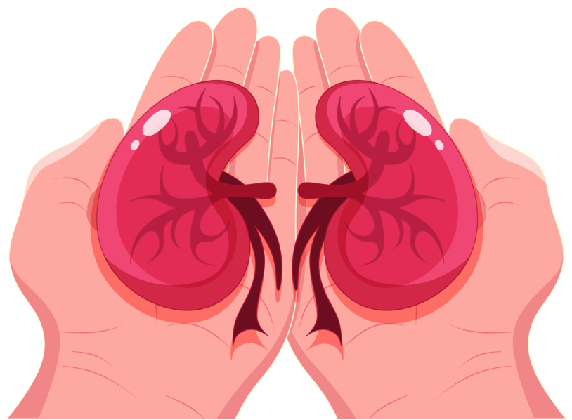 移植_亲属_蔡明