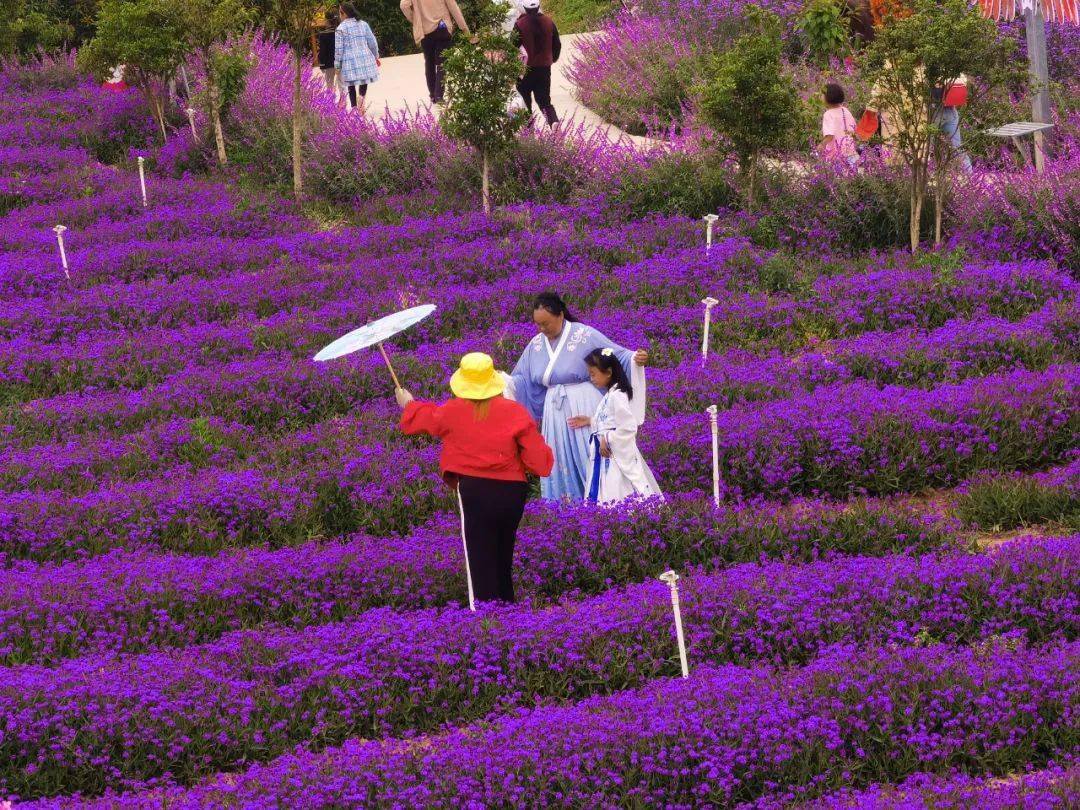 号外号外七号田庄首届捕鱼节来啦