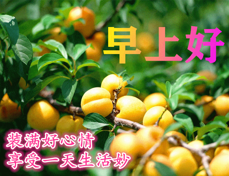 6月23日最新早上好祝福动态表情图片大全早上好问候语句子
