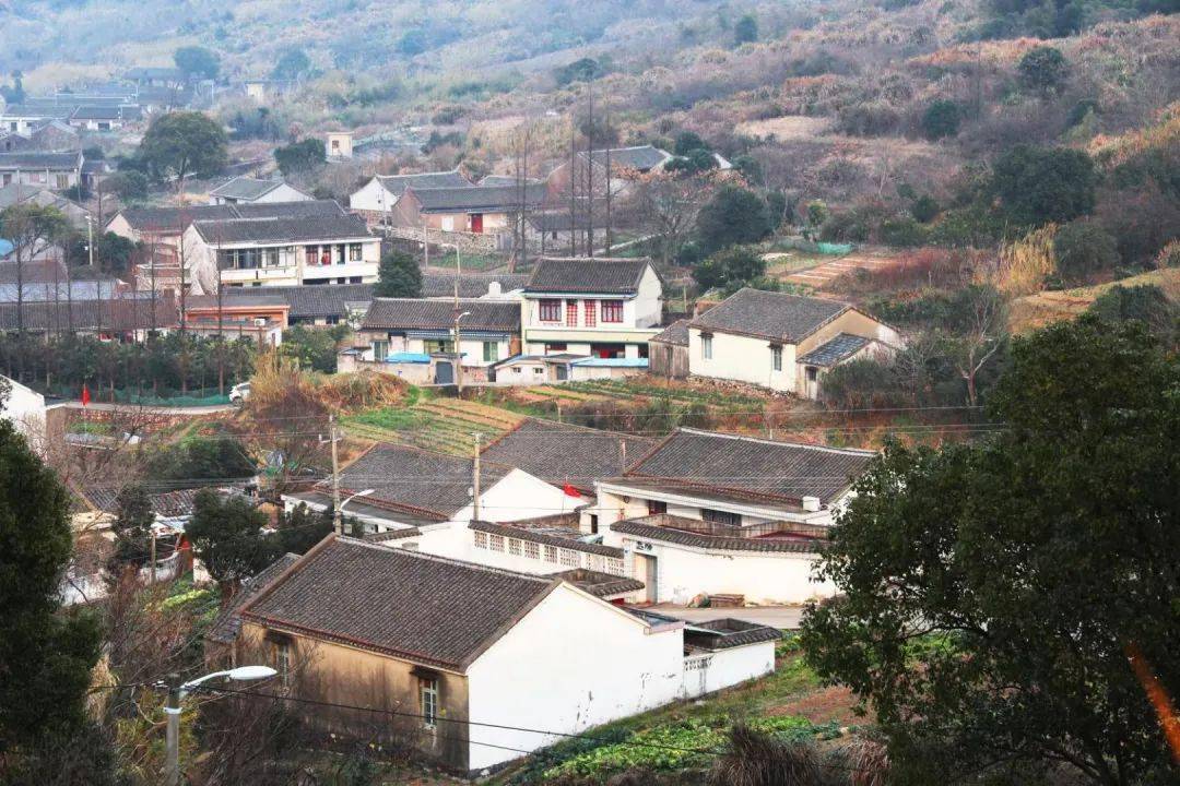 在农村有房的注意舟山这几类房子有可能被回收