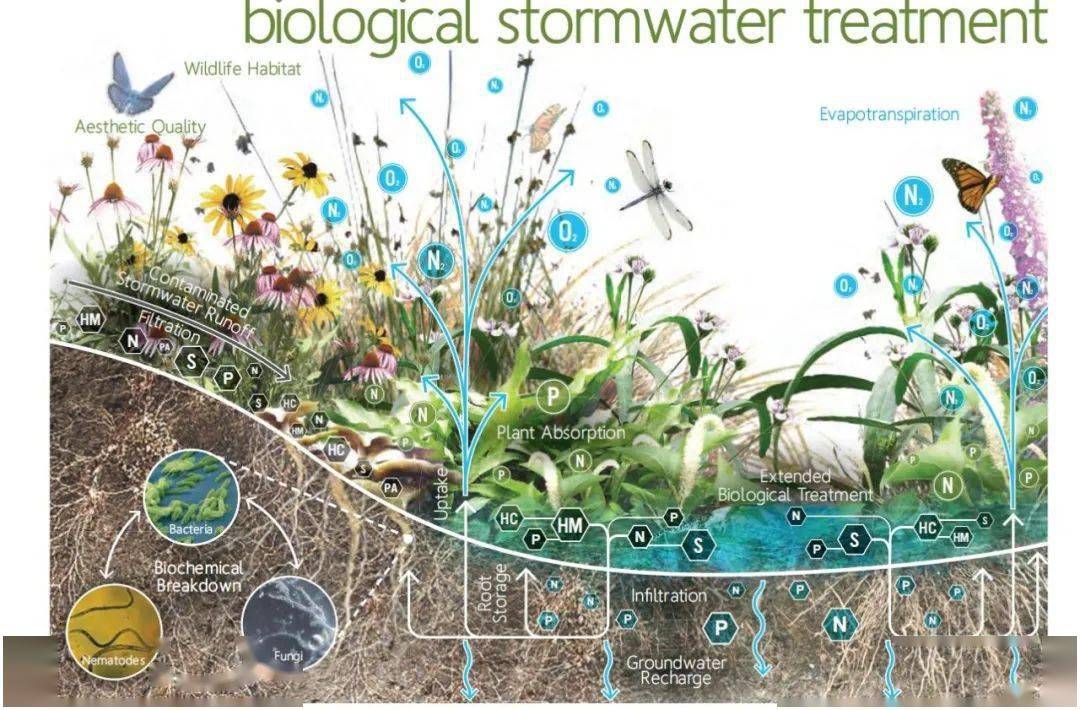 植物分析图也卷起来了_种植设计_颜色_综合类
