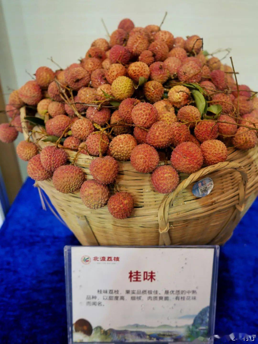 北流荔枝新鲜上市来发布会吃吗