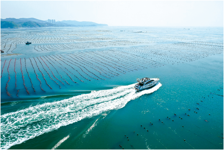 明格旅游带你游大连旅顺老虎滩赶海双卧6日游1780元