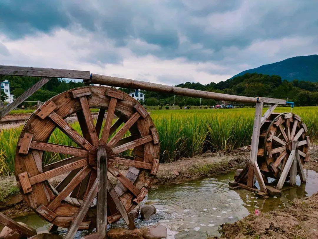 藏在稻田の广东zui美景观度假民宿暑假亲子稻喜湾民宿广东省内的诗和