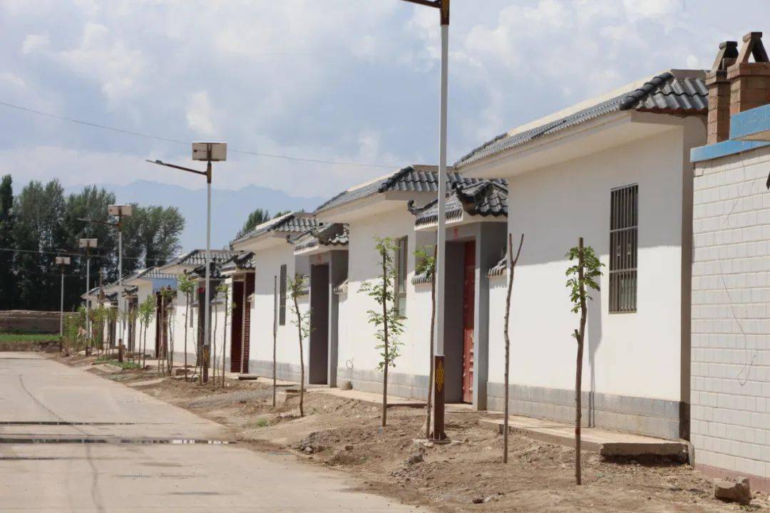 高台县巷道镇亮点频现展新颜奏响振兴最强音