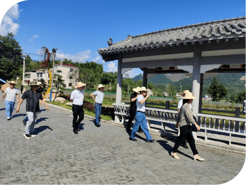 对檀林镇槐树村,张塝镇马踏石村,漕河镇铁山村,横车镇马骅山村,大同镇