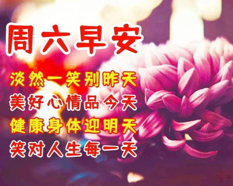 早安馨語日日平安語深深祝福情彼此多保重天天好心情