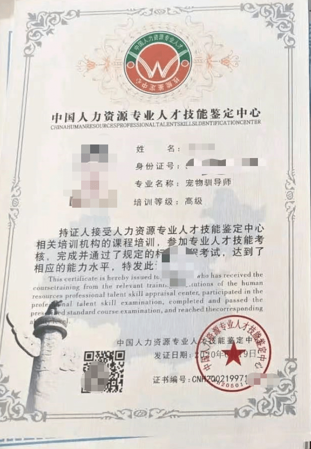 起底训犬市场乱象:400元可买训导师资格证,涉嫌犯罪