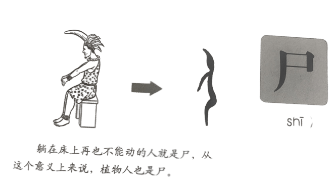 《图解说文解字·画说汉字》主也,孝子之祭人篇字源演变说文解字"尸"